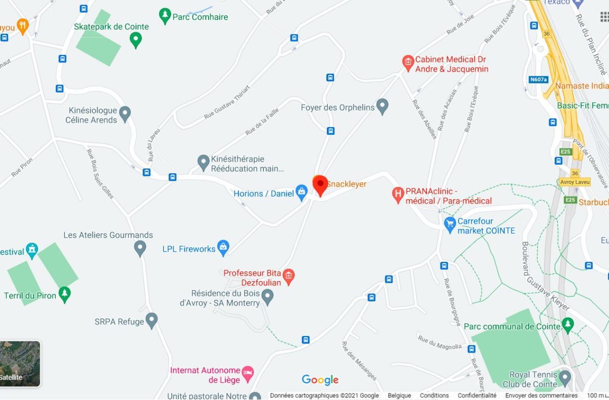 kleyer06 topoguide wallonica